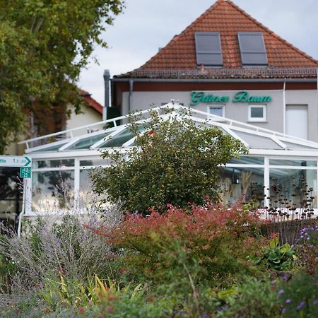 Zum Gruenen Baum Hotel Frankfurt Airport Кельстербах Экстерьер фото