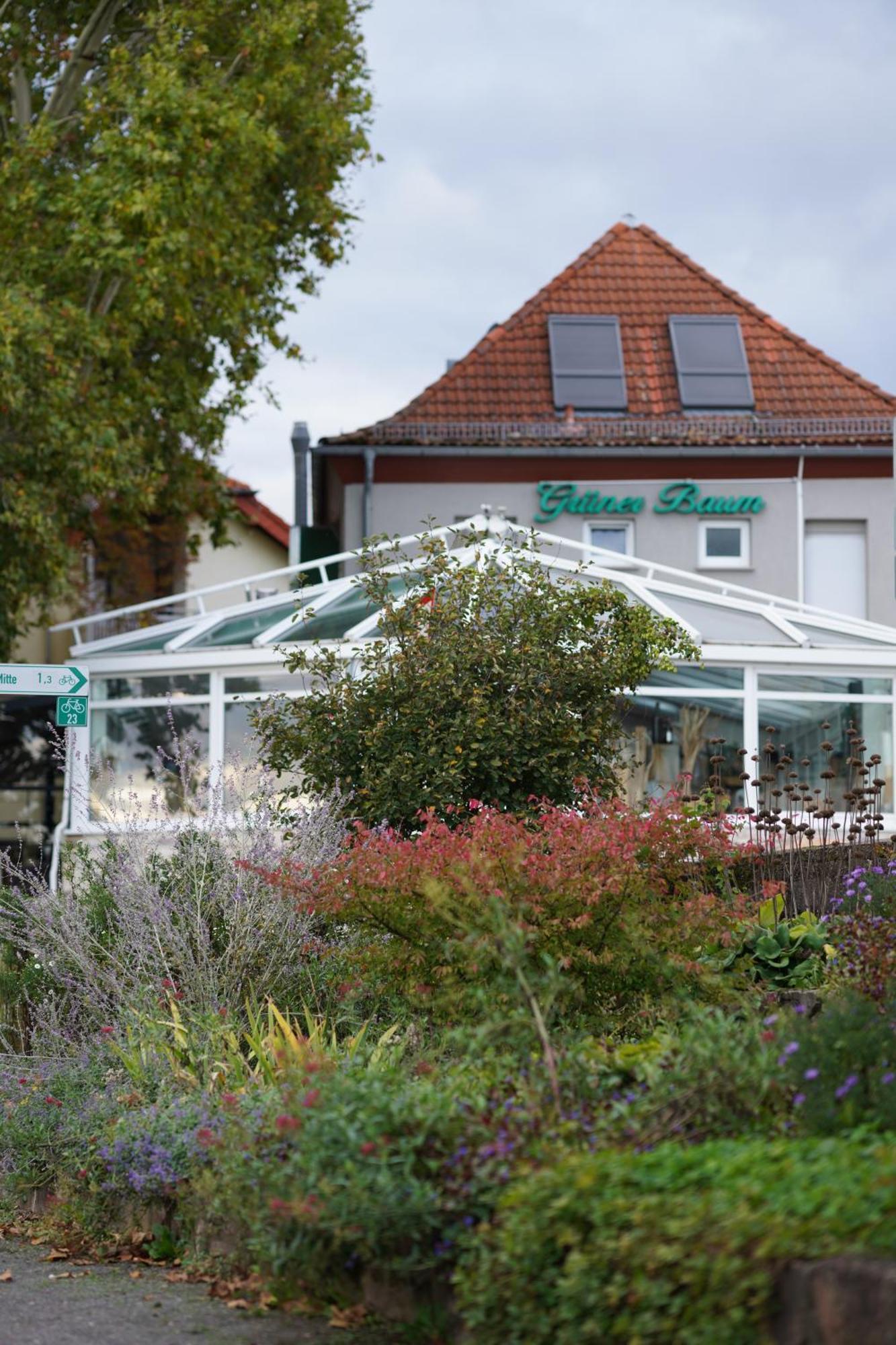 Zum Gruenen Baum Hotel Frankfurt Airport Кельстербах Экстерьер фото